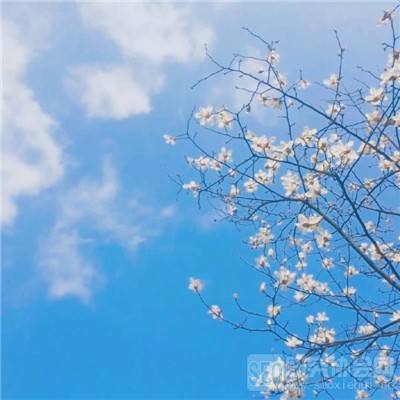 御神诀大话封神手游下载